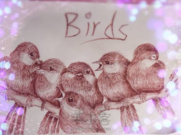 可爱的六只小鸟🐦(▽)♪（圆珠笔素描绘画）