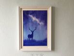 星空鹿(转)