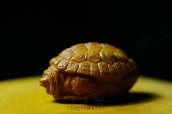 冬眠的乌龟(藏贵)--核雕