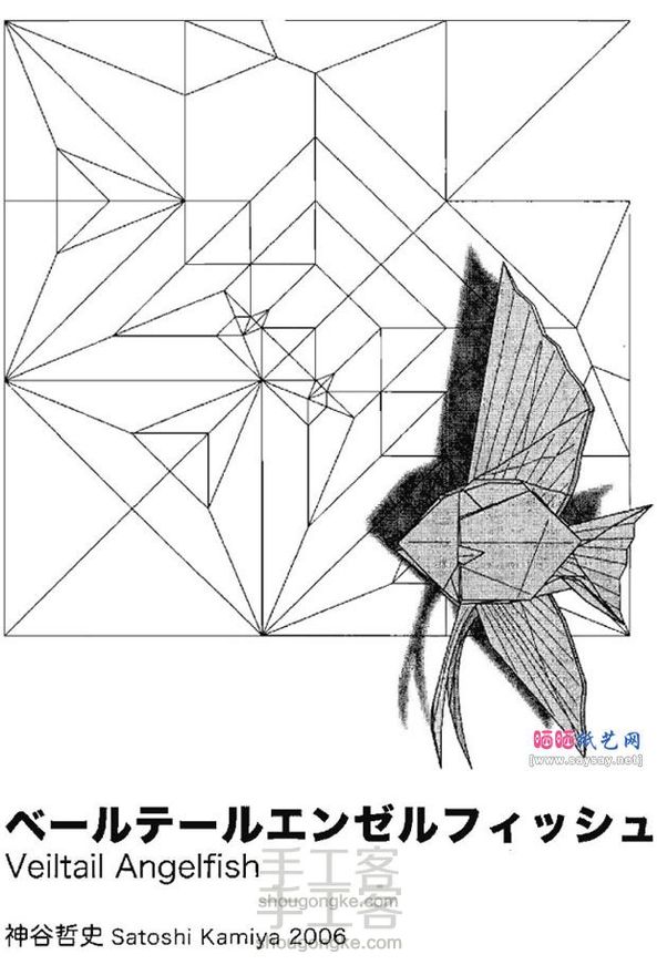神仙鱼🐠(转)