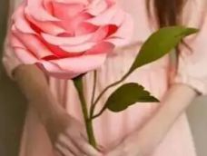 1朵玫瑰代表——我的心中只有你!