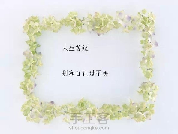 小花儿