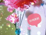 【超详细】【珞珞小课堂】芙蓉花