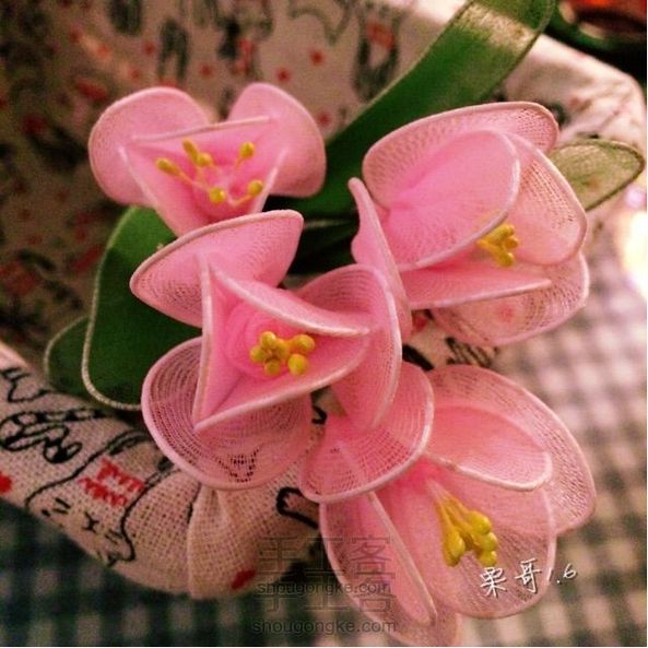 丝网花,mini郁金香🤗