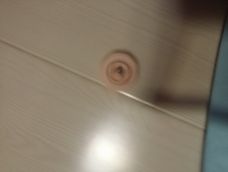 又是作业纸(⊙o⊙)