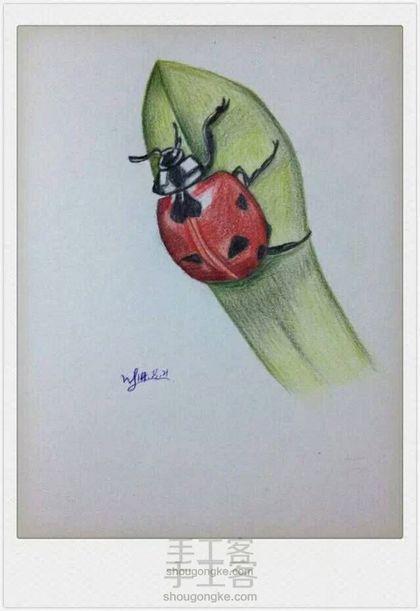 这是害虫,还是益虫呢