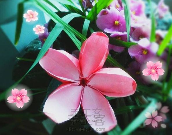 五瓣樱花折纸