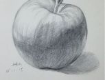苹果🍎手绘练习