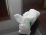 纸巾兔子