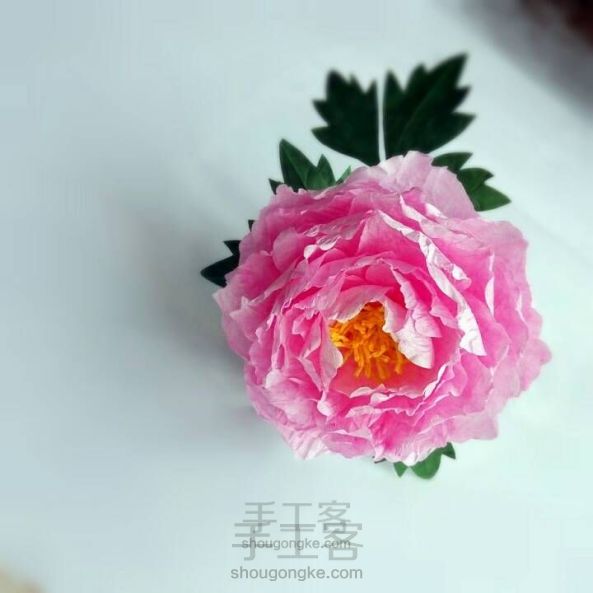 [材料可购]花开富贵—牡丹