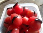 【果果】神级美食 番茄酿乌梅