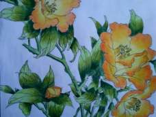 教同事画的彩铅花卉，她第一次画就能画这么好，是不是很有天赋啊？觉得好就赞一个鼓励鼓励吧！