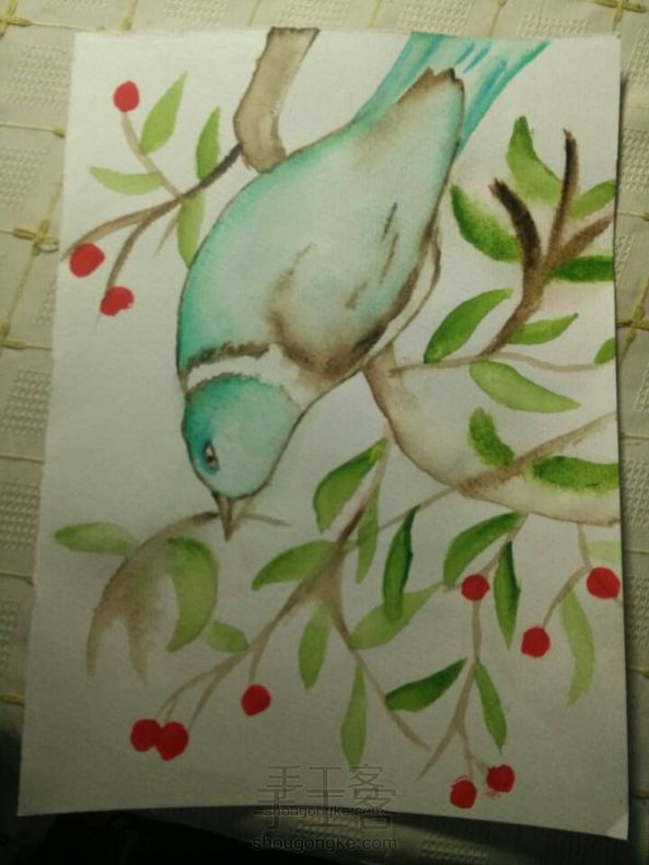 画渣的成长之路——水彩翠鸟