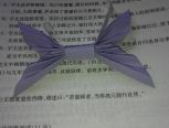 小蝴蝶