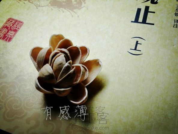 让果壳开个花