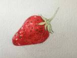 转载，草莓手绘