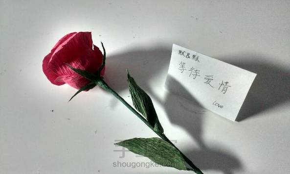 红色香槟玫瑰🌹