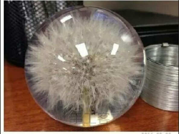 漂亮的蒲公英工艺品(转)