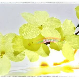 雪中四友——迎春花（原创）