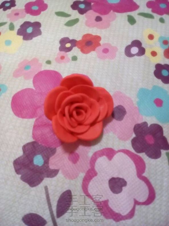 最简单美丽的玫瑰花🌹