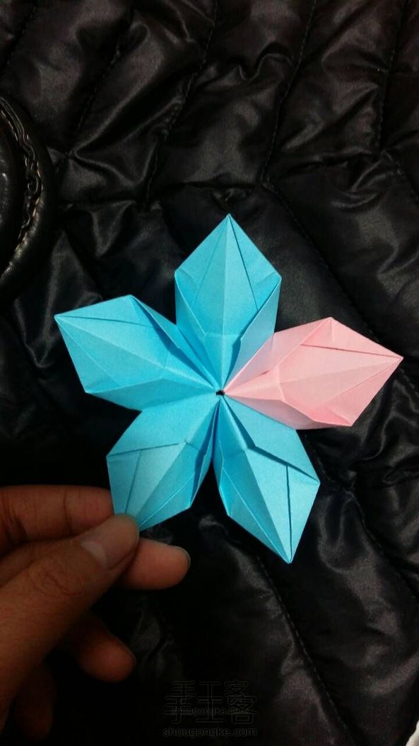 五角小花~