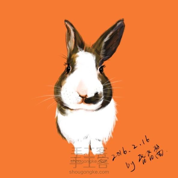 兔叽手绘板小过程