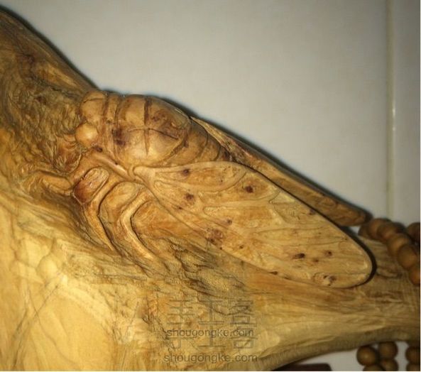 史上最有故事的教程!三木堂主人之一鸣惊人挑战教程的新定义