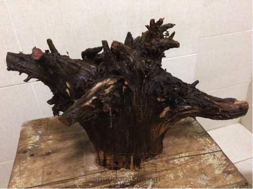 史上最有故事的教程！三木堂主人之一鸣惊人挑战教程的新定义 第2步