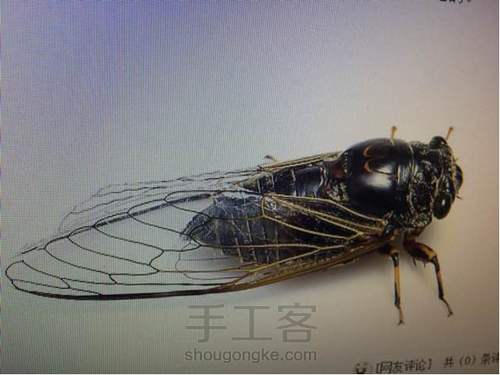 史上最有故事的教程！三木堂主人之一鸣惊人挑战教程的新定义 第11步