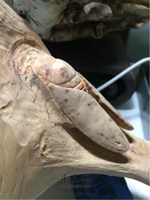 史上最有故事的教程！三木堂主人之一鸣惊人挑战教程的新定义 第20步