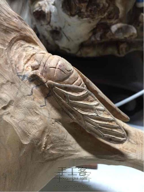 史上最有故事的教程！三木堂主人之一鸣惊人挑战教程的新定义 第24步