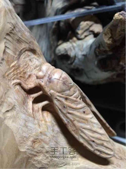 史上最有故事的教程！三木堂主人之一鸣惊人挑战教程的新定义 第25步