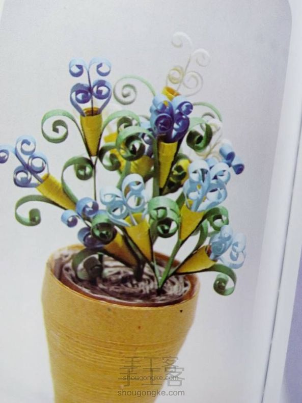 梦幻花(转)