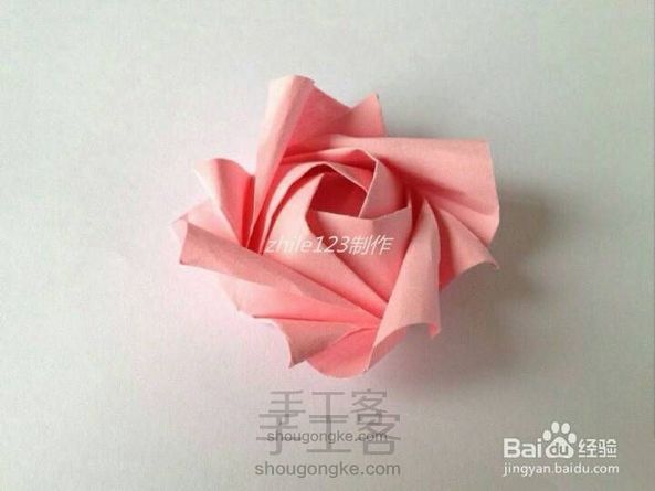 (转)玫瑰花