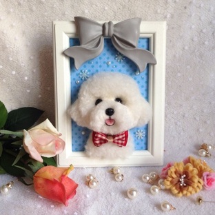 植毛泰迪犬教程