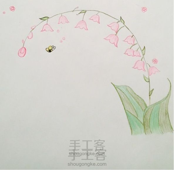 美美哒,灯笼花