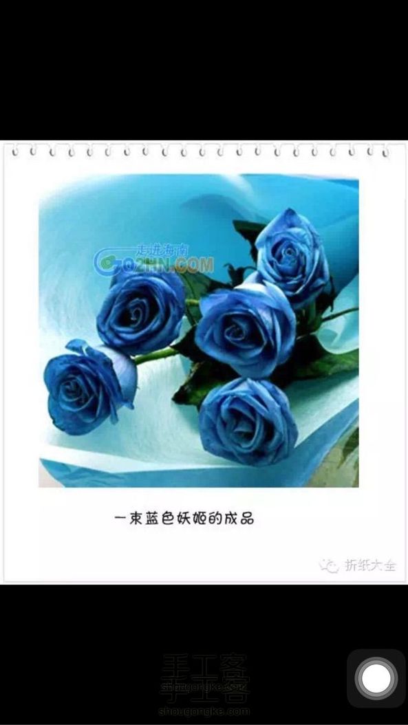手工DIY蓝色妖姬(转)