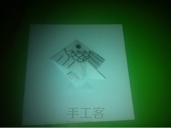 小鱼真可爱