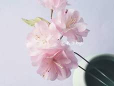樱花烫花组合发簪教程，比较适合有烫花经验的人