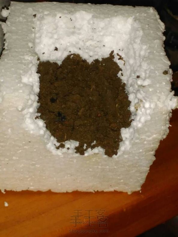 我的小天地（一）