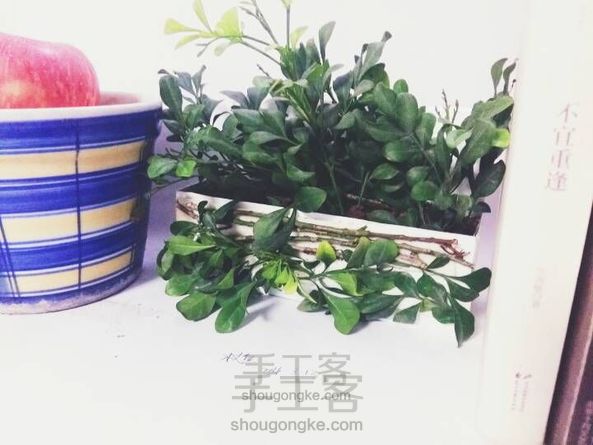 纸盒变身!