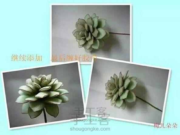 丝网花 多肉植物