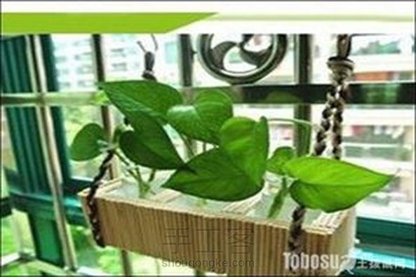 花盆,(转)