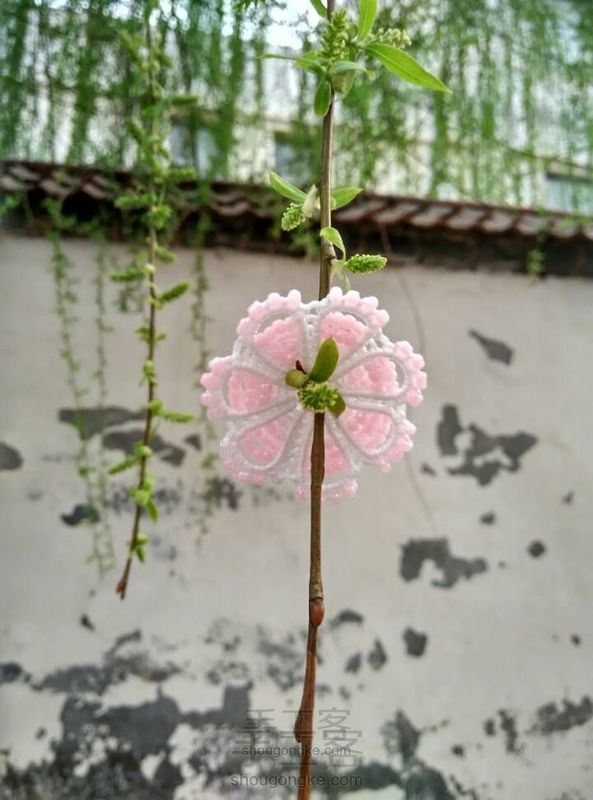 桃花