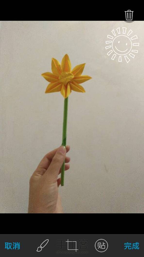 也许是朵太阳花🌻