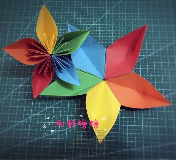走,看樱花🌸去