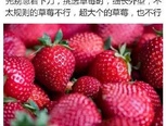 （转）如何手切草莓花