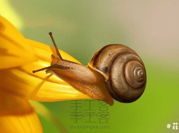 春天到了 教大家画个蜗牛