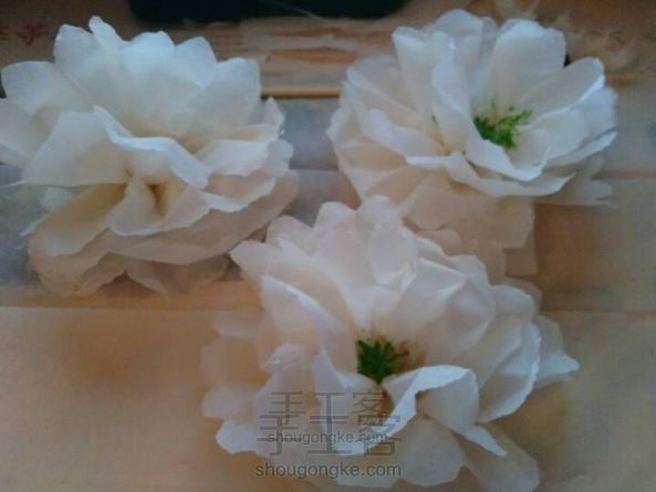 清明节-小白花