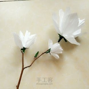 典雅玉兰亭亭玉立(纸藤花)